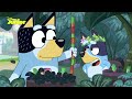 Bluey Jogos Sem Fim
