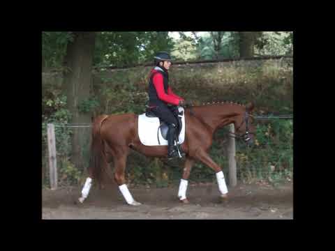 PAV EMILY ERDBEER 3j. v. PAV Szenario - New Star