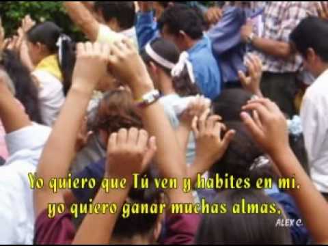 download lagu mp3 mp4 Caminando En La Verdad, download mp3 Caminando En La Verdad free downloadn, video klip Caminando En La Verdad