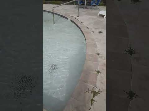 unique swimming pool chair 👙