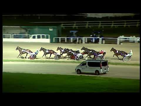 Napoli Trotto 8/12/2021 - 6ª corsa