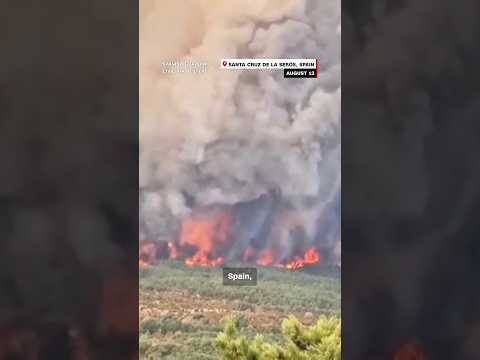 Homes destroyed by fires on UK’s hottest day