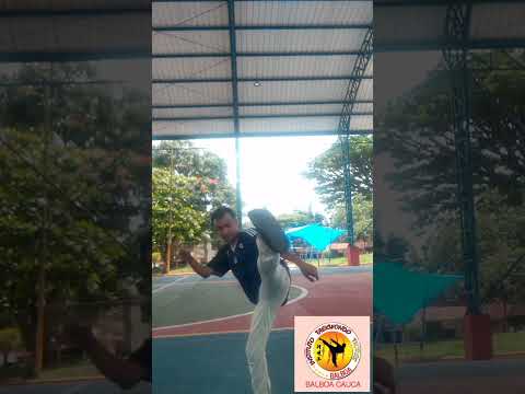 BALBOA CAUCA TAEKWONDO