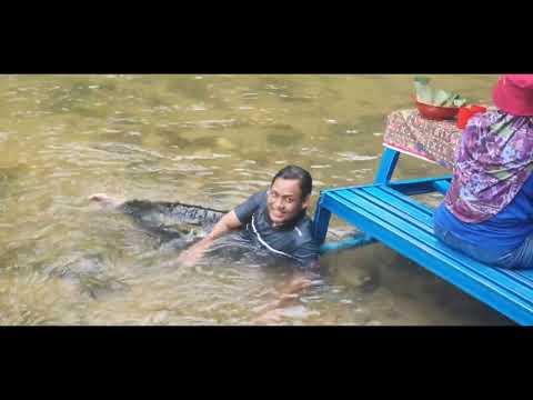 D' Cottage Chalet&Cafe