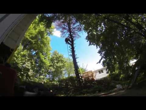 Georgia Pine, with the help of Jason, fall down.