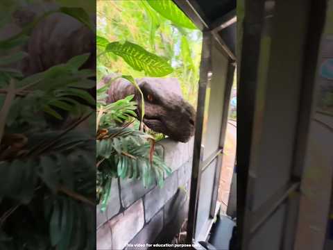 Dinosaur நேர்ல பார்த்தா எப்படி இருக்கும் 😨 ! ( 🎥 amveniceyosa ) #shorts #facts