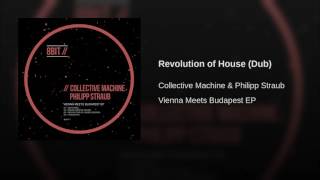 Revolution of House (Dub)