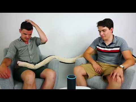 Tourette Jan fragt Alexa warum sie nicht am Herd ist