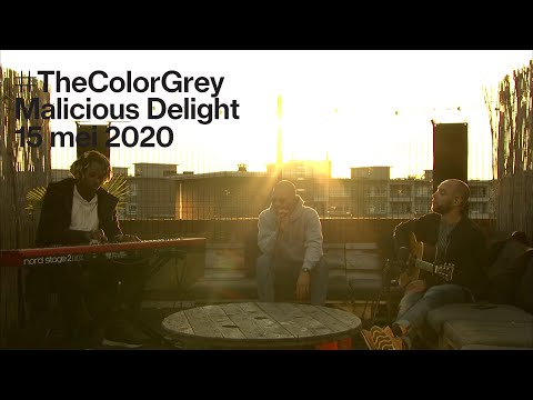 TheColorGrey — Malicious Delight (#ikluisterbelgisch live)