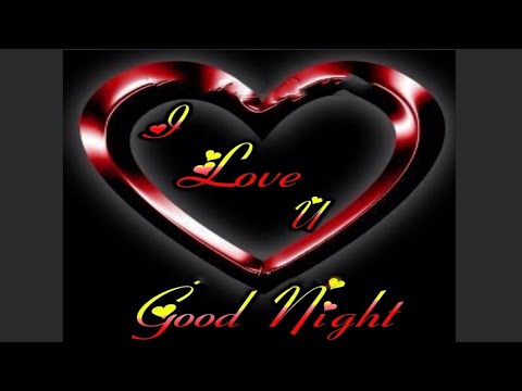 Good Night GIF Video