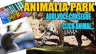 [Animália PARK]  MUITO Melhor Que o ZOO para Fotos Profissionais