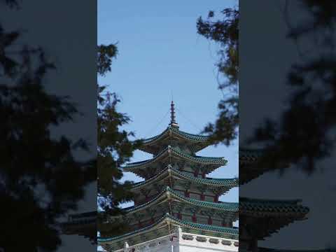 Seoul, Korea 🇰🇷