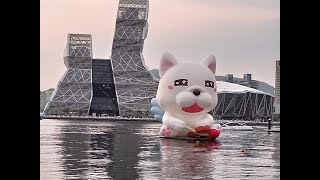 2022貼圖明星萌翻愛河