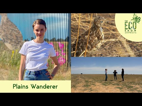 The Eco Show - S01E02 - The Plains Wanderer