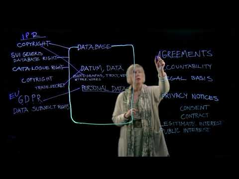 Legal Aspects of Data (Maria Rehbinder)