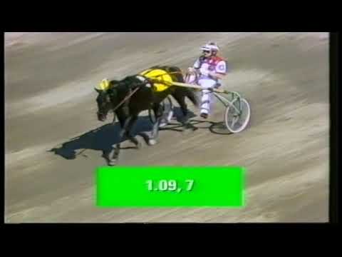 1988 Elitloppet - Elitlopp - Mack Lobell