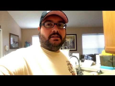 Left over BBQ Chicken suggestions