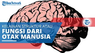 Ensefalopati, Penyakit Otak yang Menyebabkan Penderitanya Mengalami Gangguan Psikologis dan Kognitif