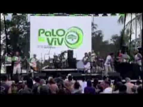 Palo Viejo Tribute Band ft. Misael - Shark Attack (Palo en Vivo 2011)