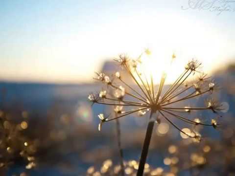 Kari Sál (Karina Srocka) -  Zaczekaj