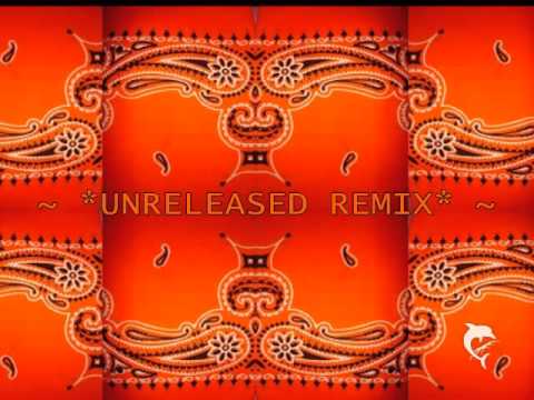 ~DJ NoiZ - UNRELEASED REMIX~