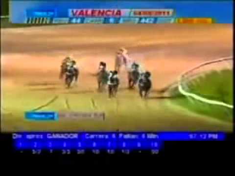 Resumen Jueves, 04 de Agosto de 2011   Valencia