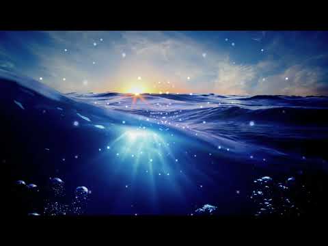 Chris Wonderful - Siren