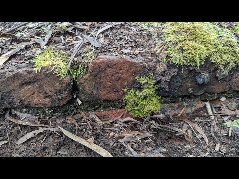 The Convict Coal Mines: Overseer's Quarters #4