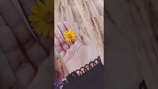 Download lagu Quran ✨ #egzonibrahimi #surahannas #nature #100kvews #islamicprayer #100k #100millon #love #shorts mp3