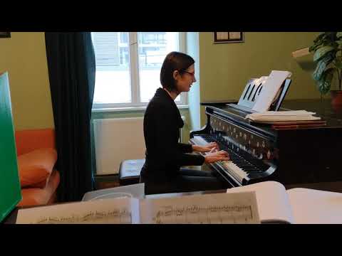 Czerny: 17-es etüd - by Aliz 🎹🎵🎼🎶💓😍🙂