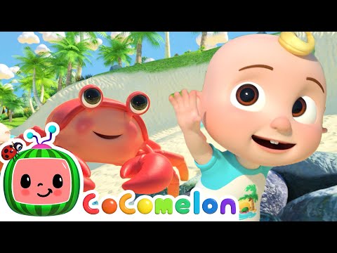Sea Animal Song | Animal Songs For Kids | CoComelon Nursery Rhymes