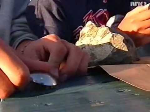 Kopi av Vår i Fjæra - Veiholmen.com