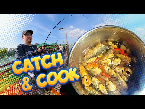 Catch and cook - Bangus Sardines - La Bamboo Dampalit Malabon