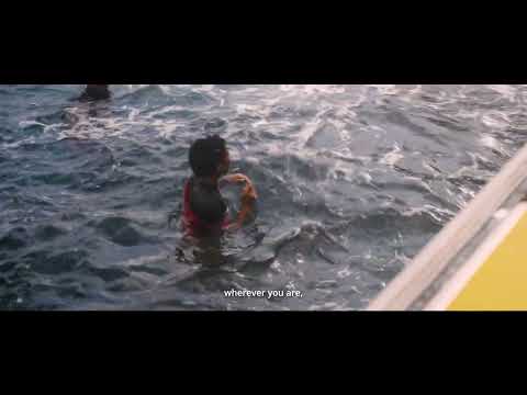 Tied with the Tides Trailer