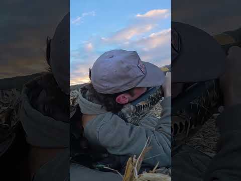 😮‍💨Last Flock of a 10 Man Goose Limit 😮‍💨 Full Video⬆️