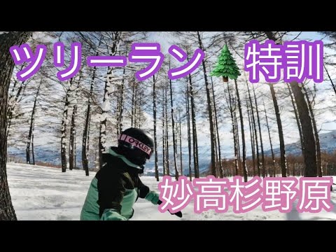 【妙高杉野原】おニュー✨パウダーボードでツリーラン🌲練習日和😃