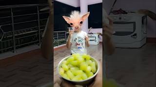 Download lagu moye moye | moye moye song | moye moye meme | moye moye song dj | #funny @kittu bittu shorts 🤣 mp3