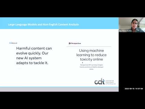 DS4Society 2023: CDT - Lost in Translation, Large Language Models and Non-English Content Analysis