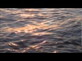 BORN FREE music:Oliver Shanti - Existence Means ...