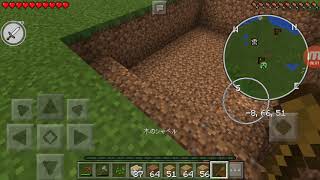 訳の分からないマイクラpart1