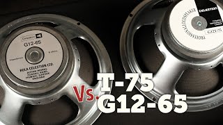 Video thumbnail for Celestion G12t-75 Vs G12-65 Shootout by Zilla Cabs