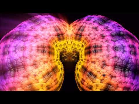 Styr0x - Eccentric Eel [Psychedelic Visuals] | Chill Space