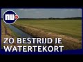 Watertekort bestrijden met subirrigatie: 'Dit systeem bewijst zich' | NU.nl