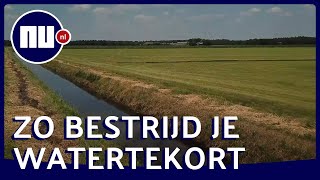 Watertekort bestrijden met subirrigatie: 'Dit systeem bewijst zich' | NU.nl