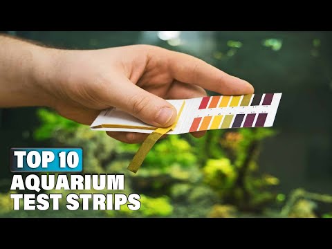 Top 10 Best Aquarium Vacuum Cleaner On Amazon