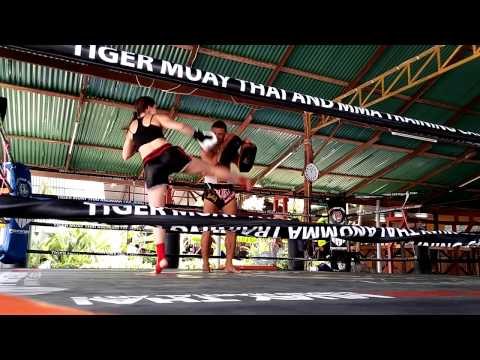 TMT Robert terminator