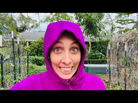 , title : 'Garden Prep for Freezing Temps: How to Protect Your Plants'