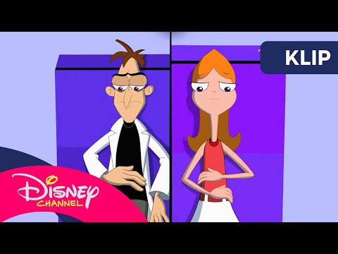 🗨️ Wykład terapeuty | Fineasz i Ferb | Disney Channel Polska