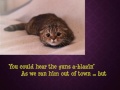 The Cat came back - New Christy Minstrels