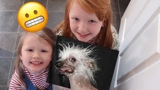 OMG WHAT HAPPENED TO PRINNY!! | VLOGMAS DAY 22